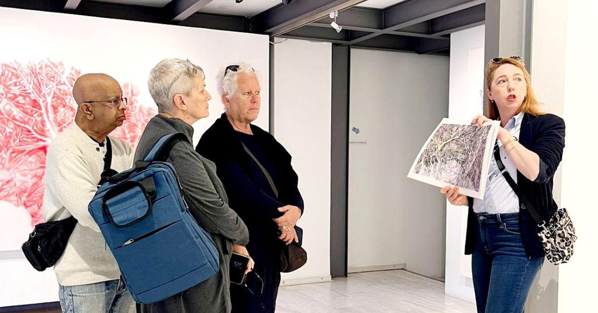 Athens: National Gallery guided tour